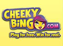 Cheeky Bingo