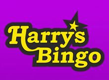 Harrys Bingo