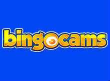 Bingo Cams
