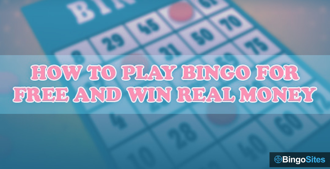 Play Bingo for Free