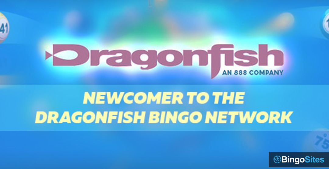 Newcomer to the Dragonfish Bingo Network