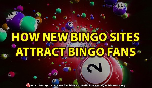 How New Bingo Sites Attract Bingo Fans