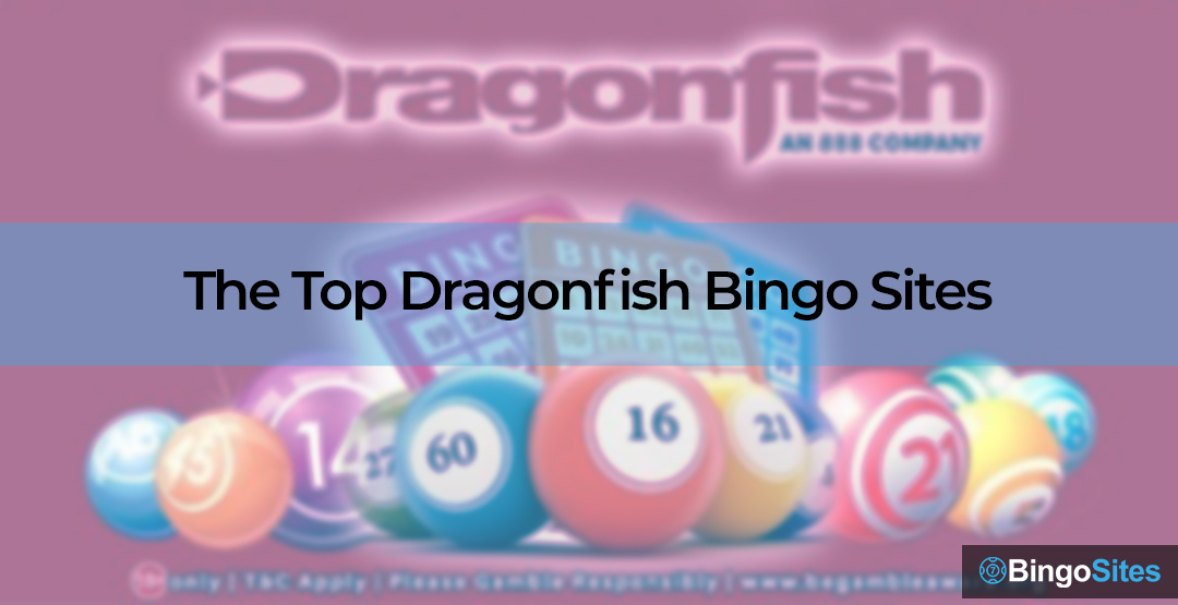 The Top Dragonfish Bingo Sites