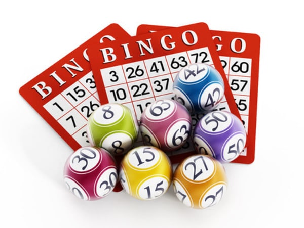 No wagering bingo