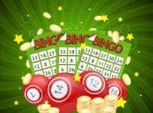 Vector bingo concept.